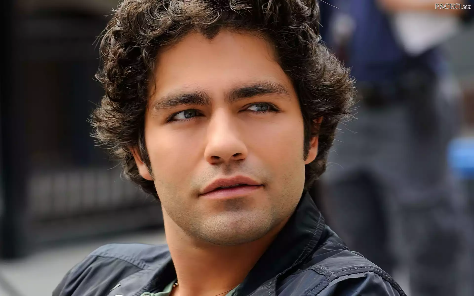 Adrian Grenier, Aktor