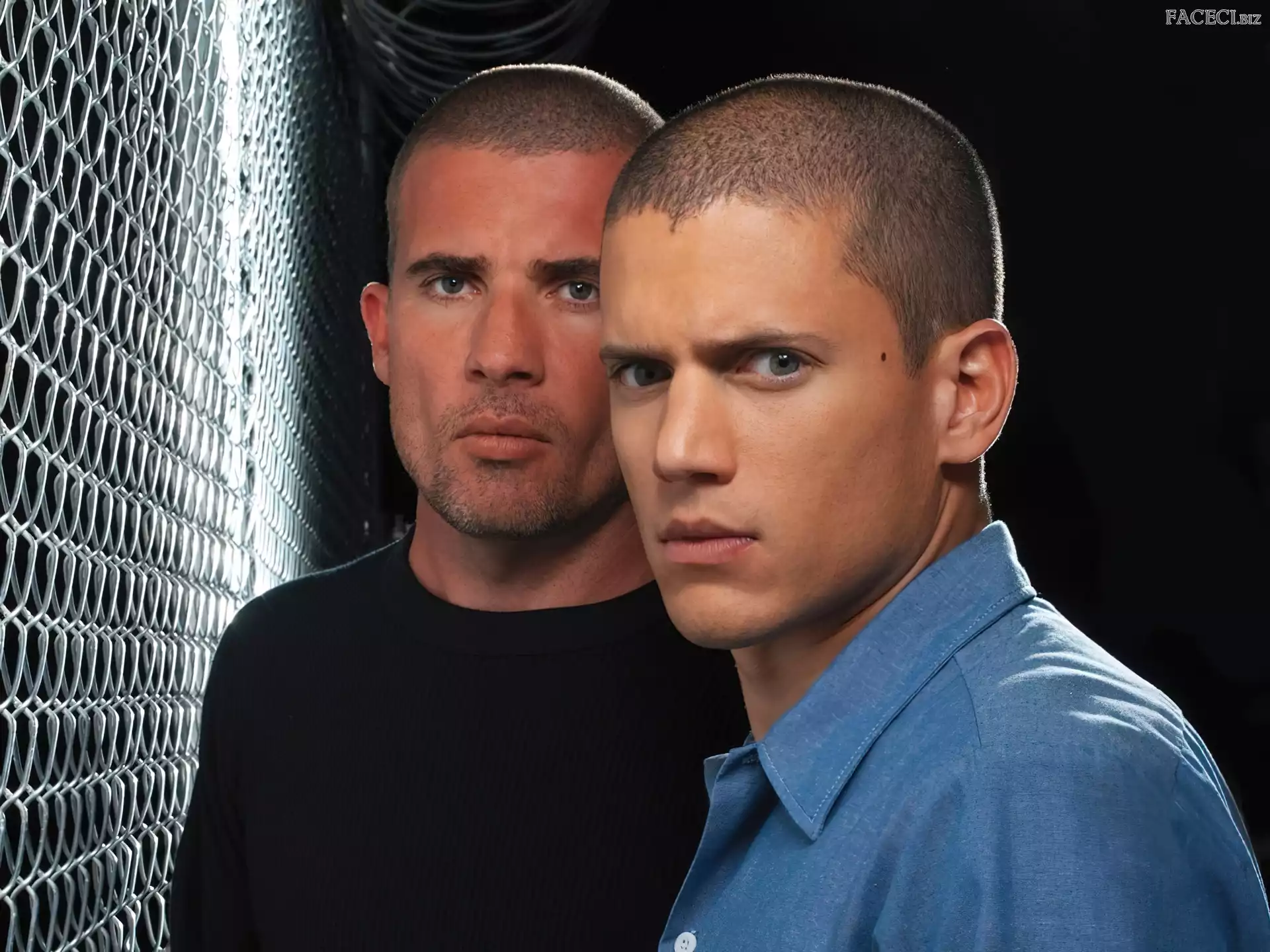 Wentworth Miller, Dominic Purcell, Skazany na śmierć, Prison Break, Bracia