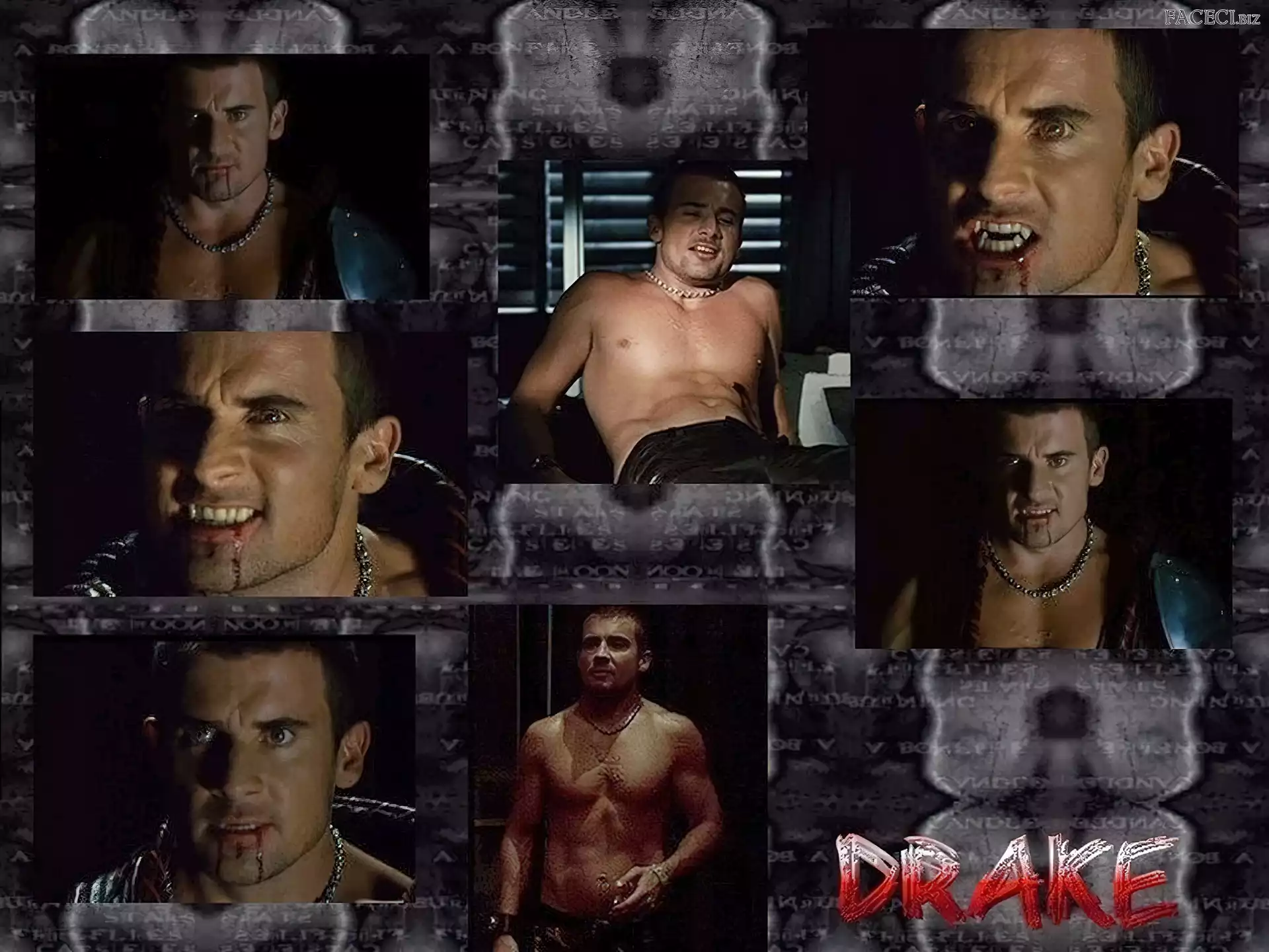 krew, Dominic Purcell, drake