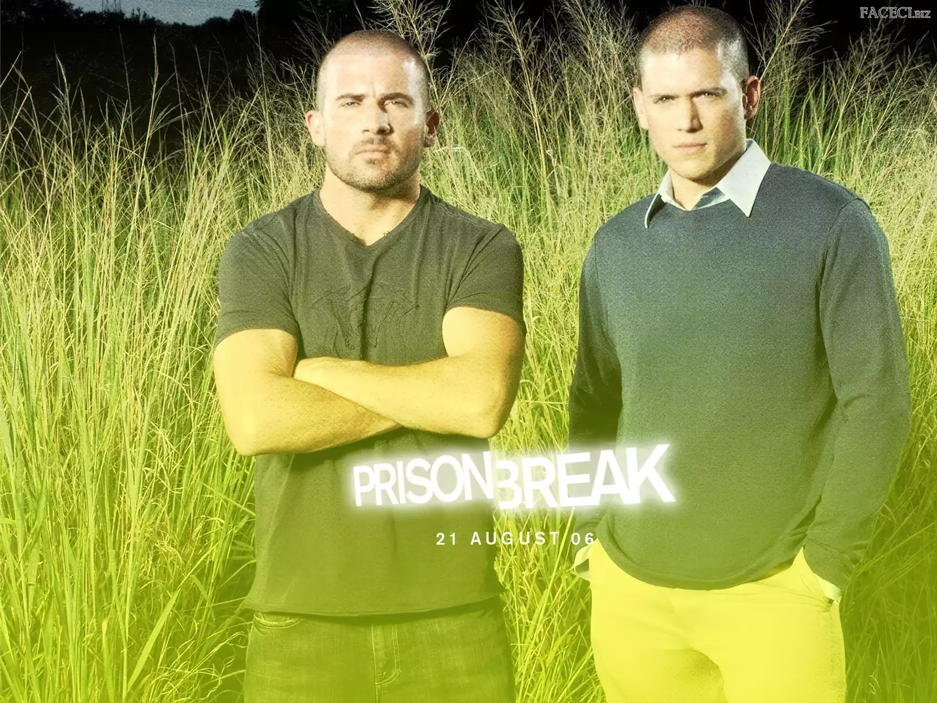 trawa, Dominic Purcell, Skazany na śmierć, Prison Break, Wentworth Miller