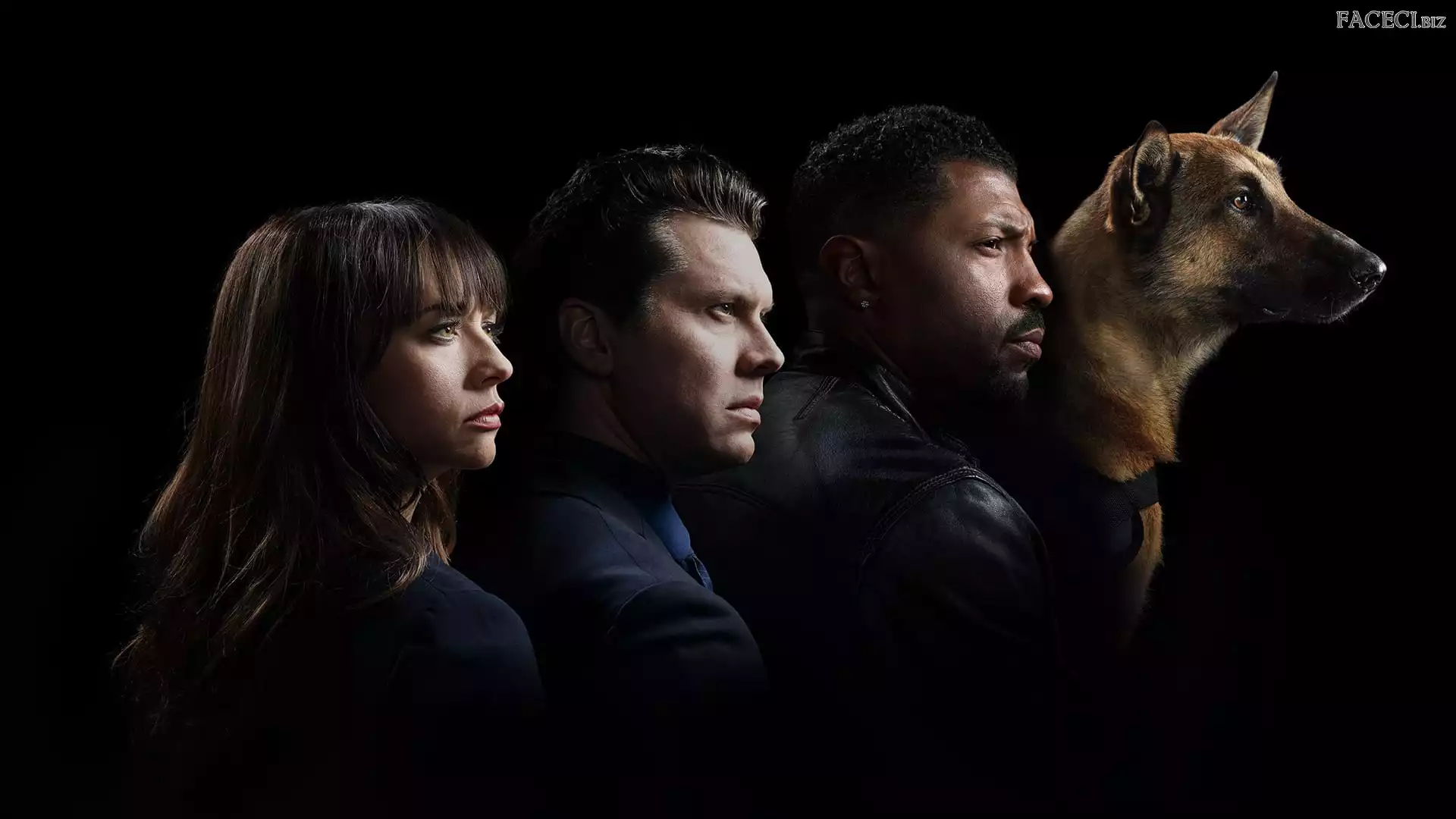 Owczarek belgijski Malinois, Rashida Jones, Serial, Deon Cole, Pies, Angie Tribeca, Hayes MacArthur