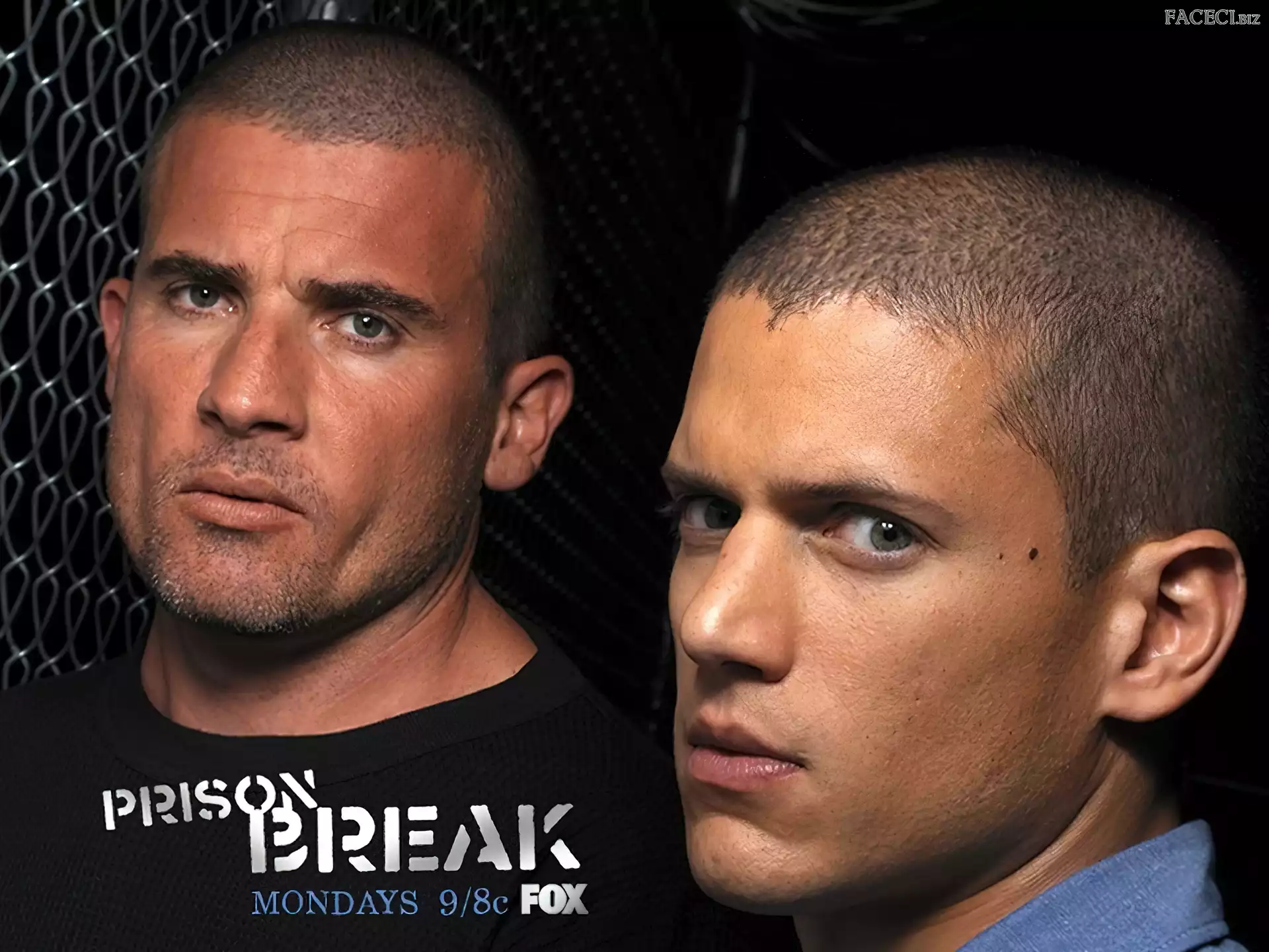 Skazany na śmierć, Wentworth Miller, Prison Break, Dominic Purcell